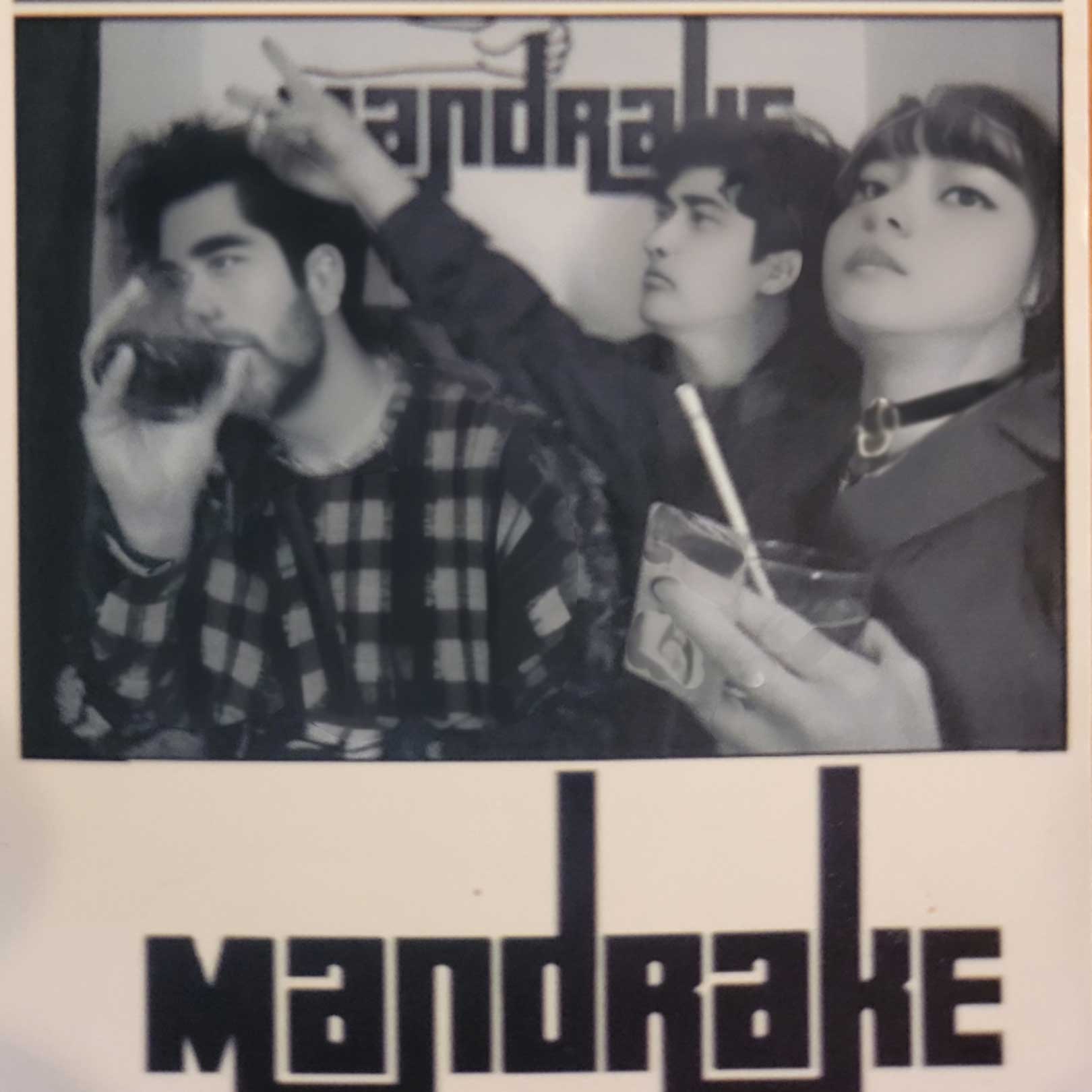 The Mandrake Has Its Final Night